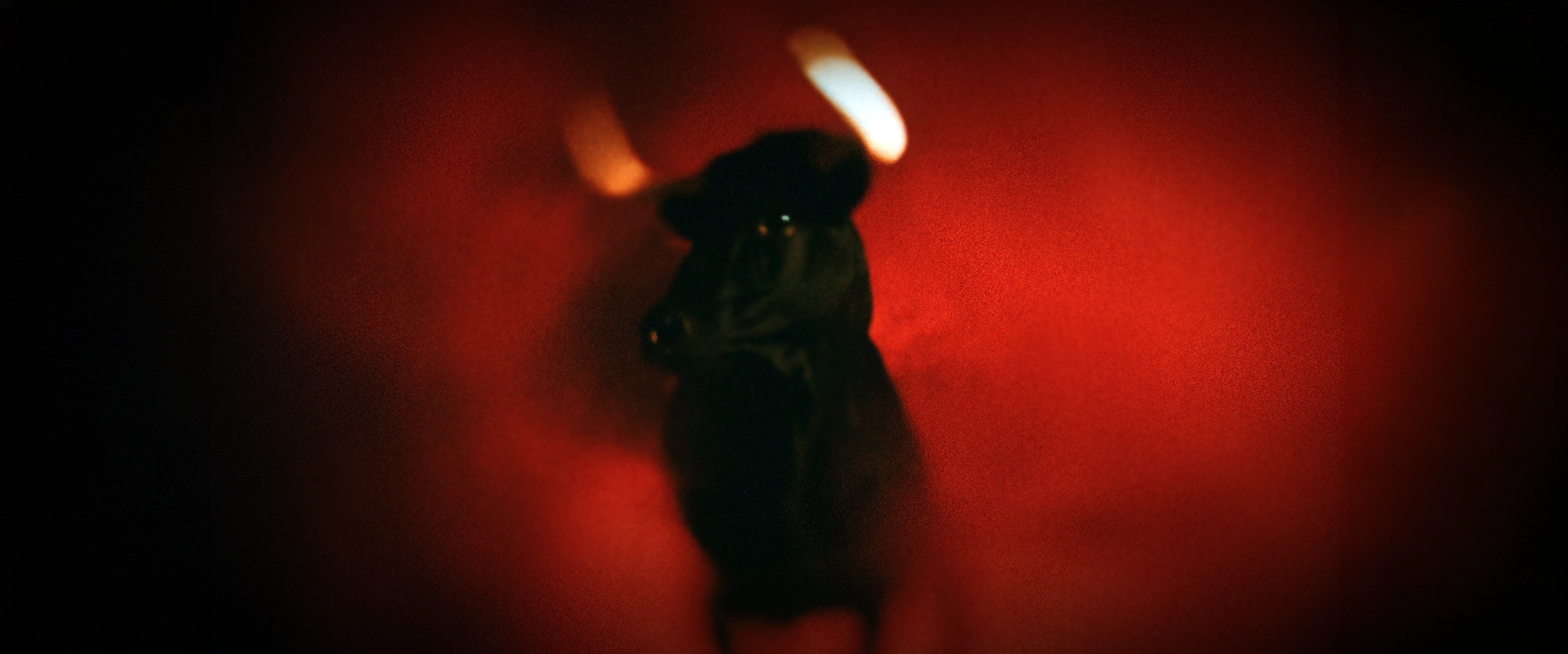Lights Out · still 19